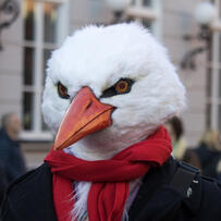 a photo of a white stork fursuiter with a scarf